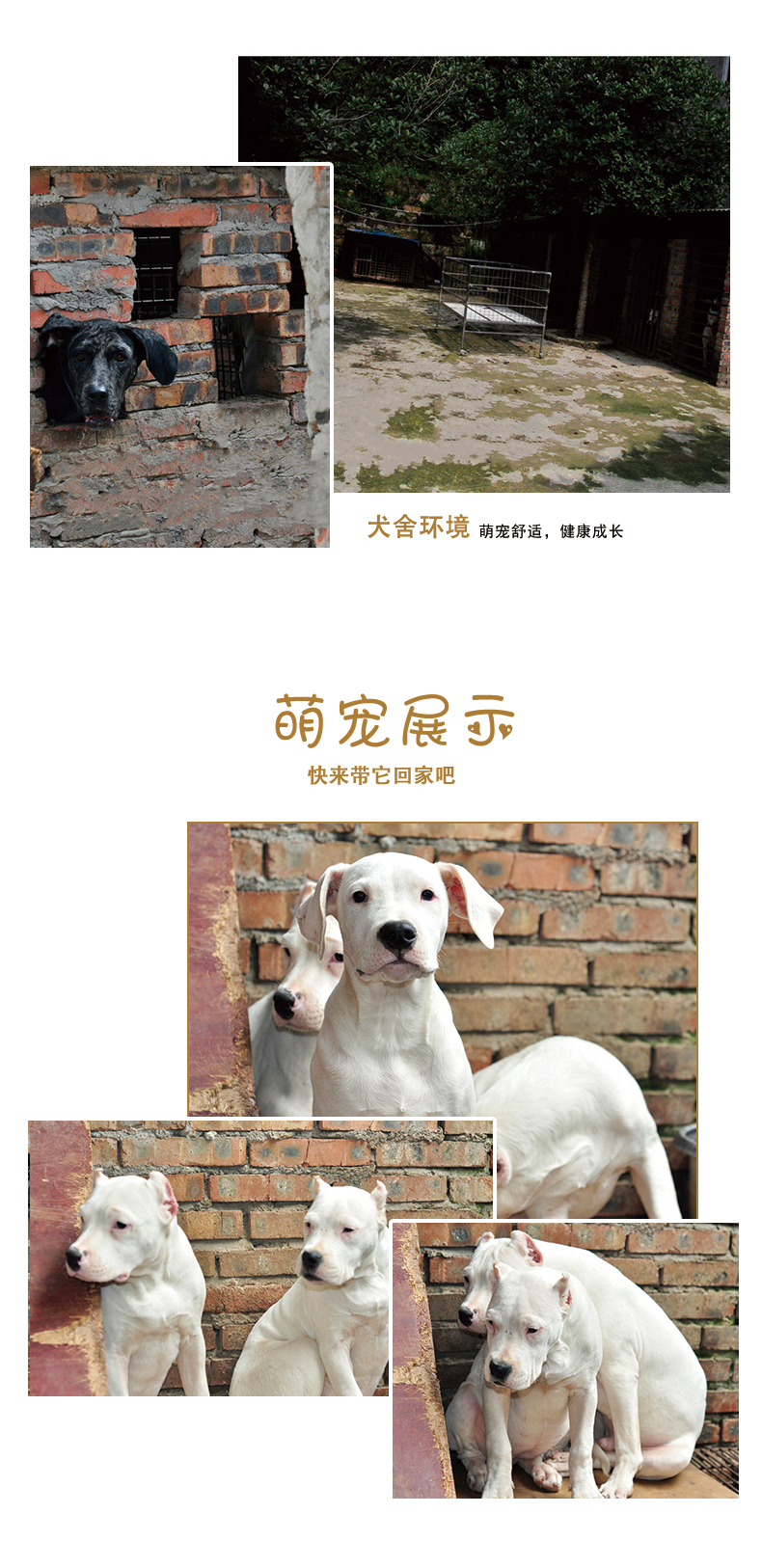 杜高_05.jpg